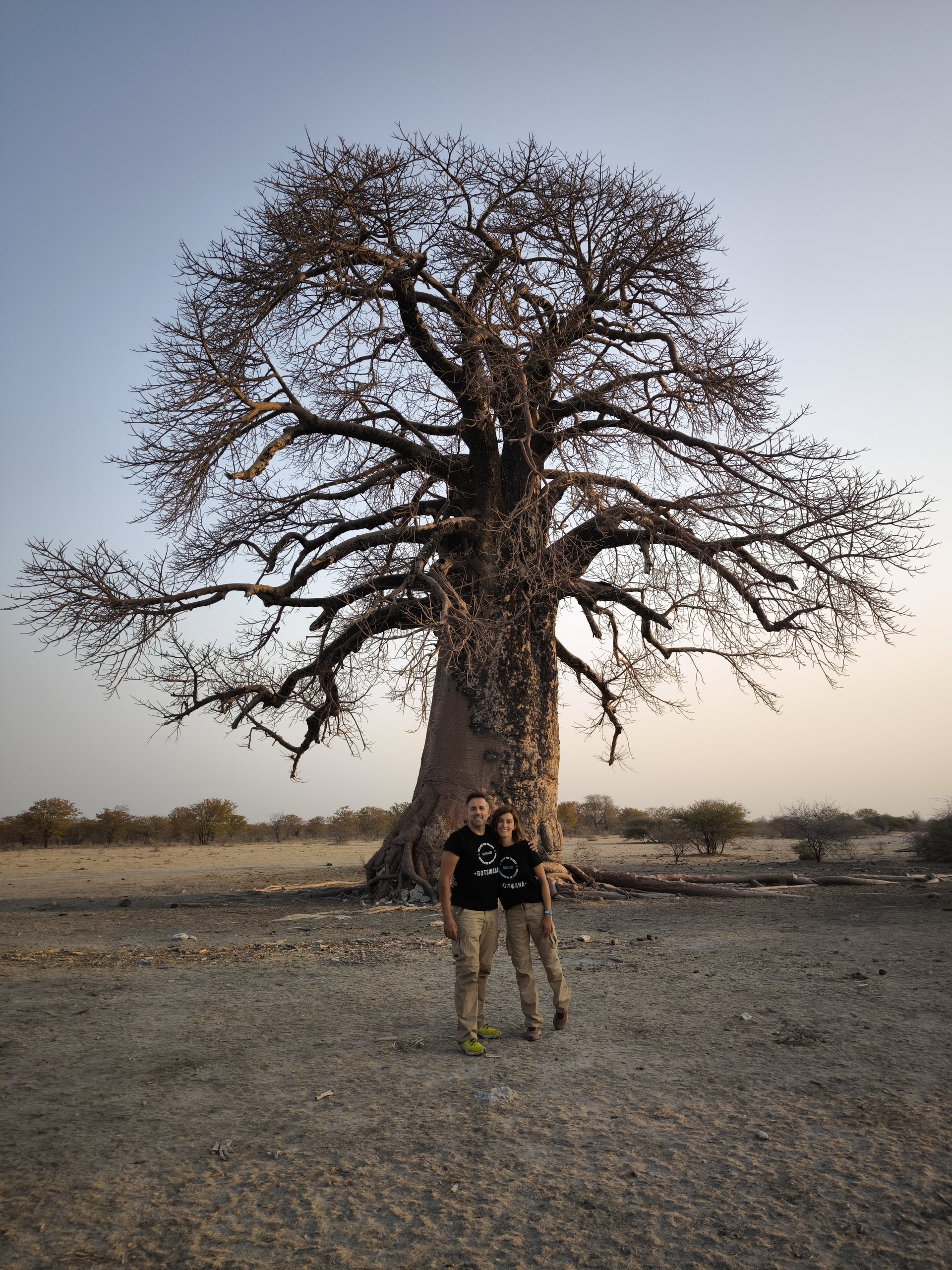 Pareja de viajeros bajo un baobab gigante al atardecer en Botswana